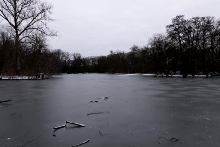 Neuer See Tiergarten Berlin with ice and snow 2021-02-06 06