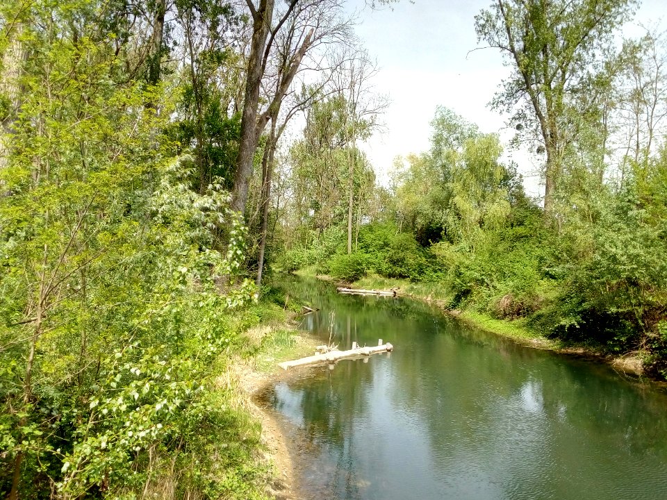 Neuer Federbach, Federbach-Bypass am Knielinger See (2)