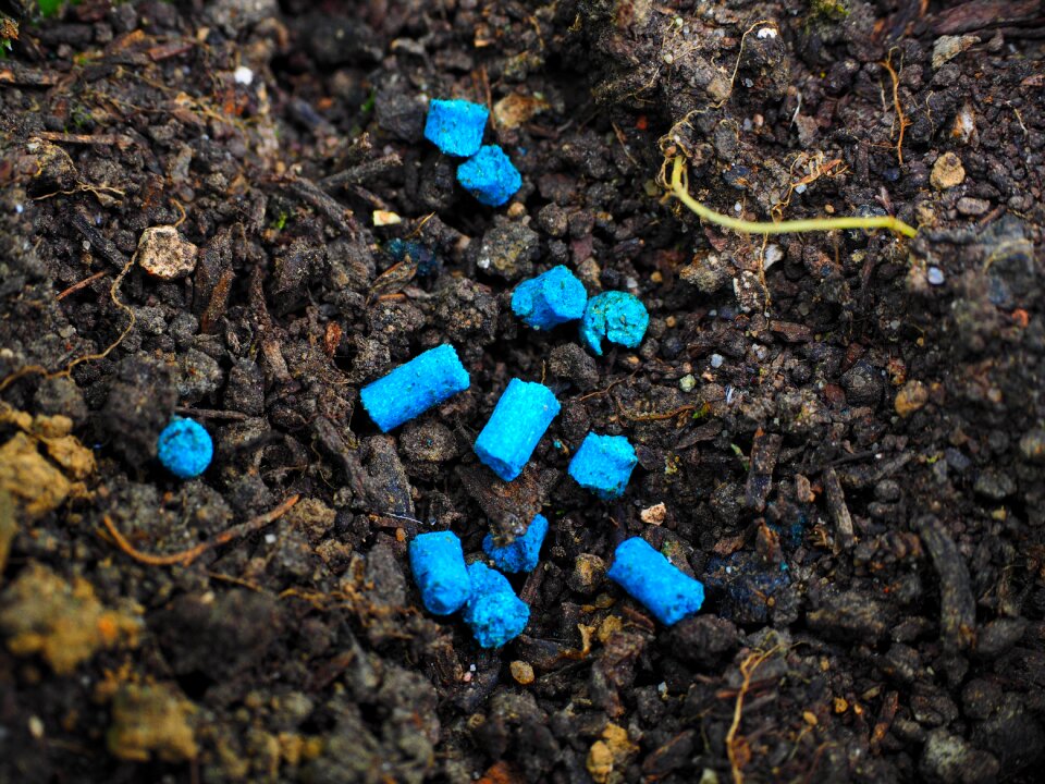 Grains toxic agriculture