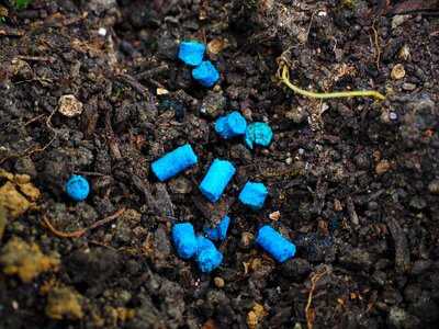Grains toxic agriculture