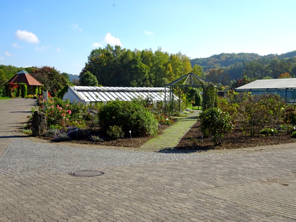 Neuer Botanischer Garten Göttingen2