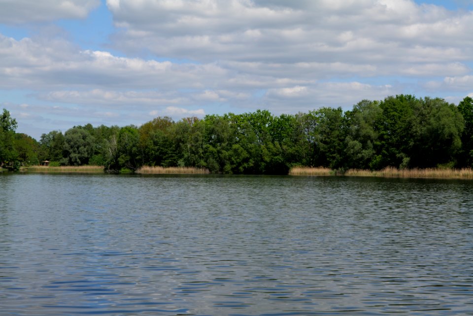 Neuer See Falkenhagen 2020-05-15 05