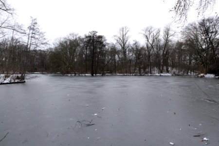Neuer See Tiergarten Berlin with ice and snow 2021-02-06 03