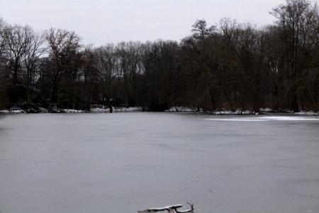 Neuer See Tiergarten Berlin with ice and snow 2021-02-06 08