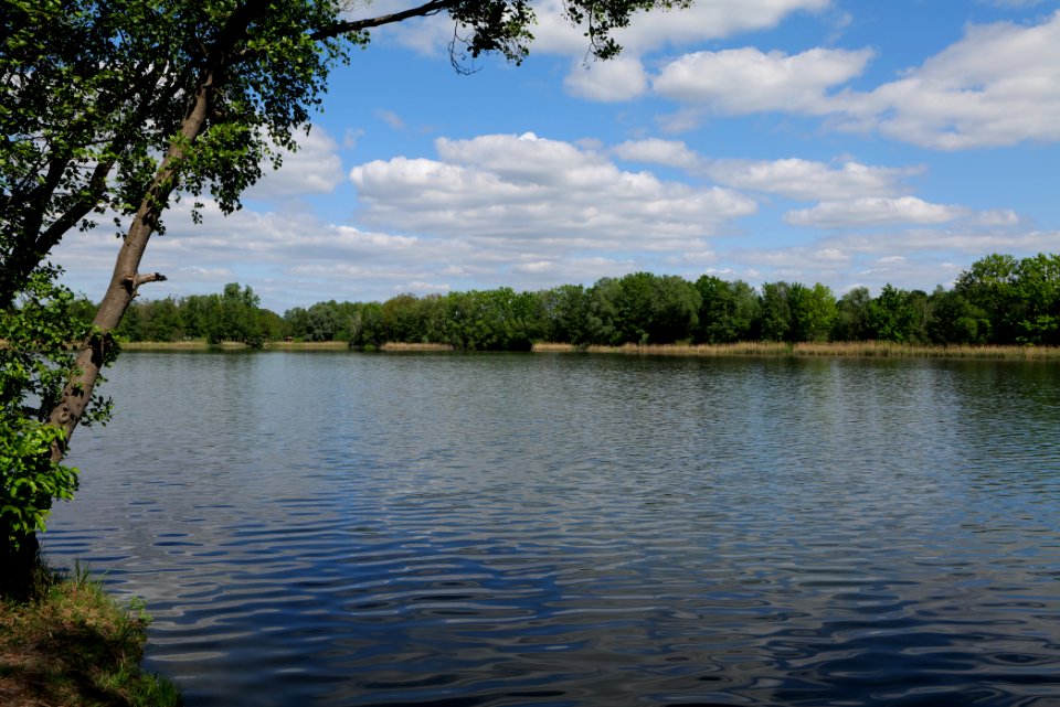 Neuer See Falkenhagen 2020-05-15 06
