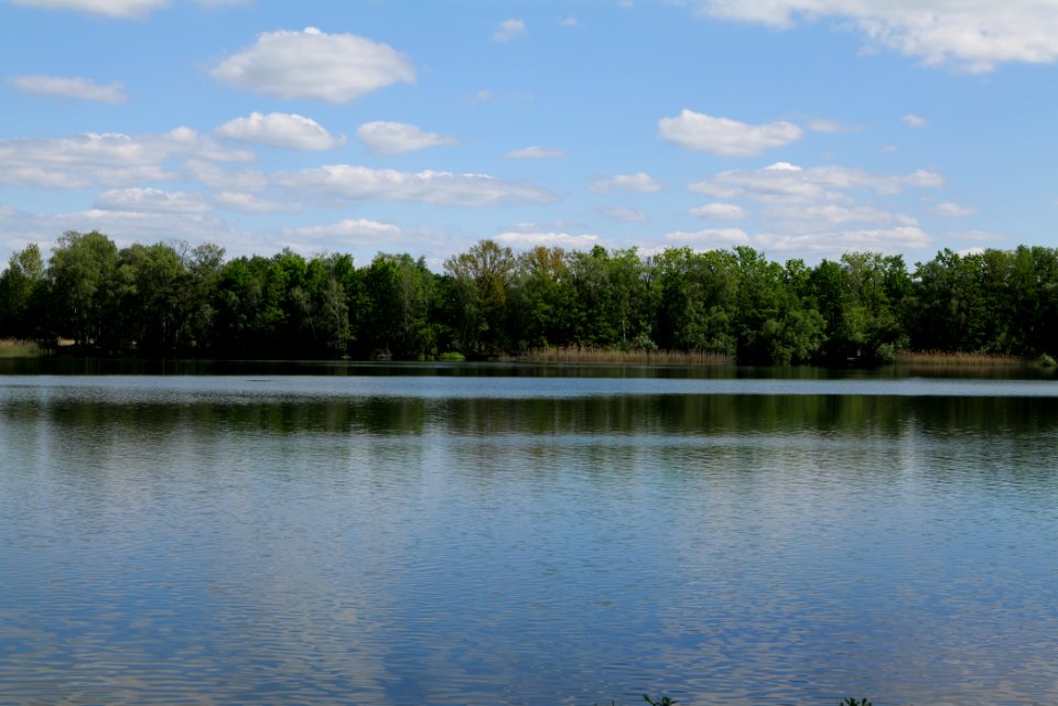 Neuer See Falkenhagen 2020-05-15 09