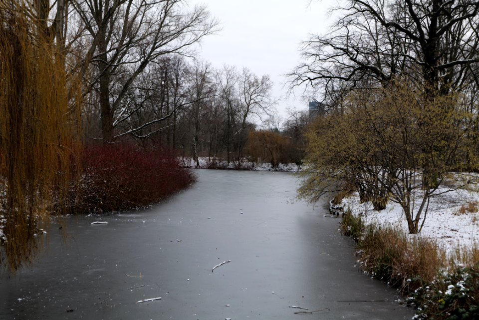 Neuer See Tiergarten Berlin with ice and snow 2021-02-06 15