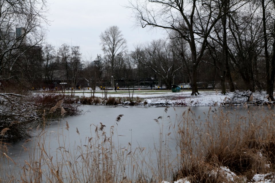 Neuer See Tiergarten Berlin with ice and snow 2021-02-06 12