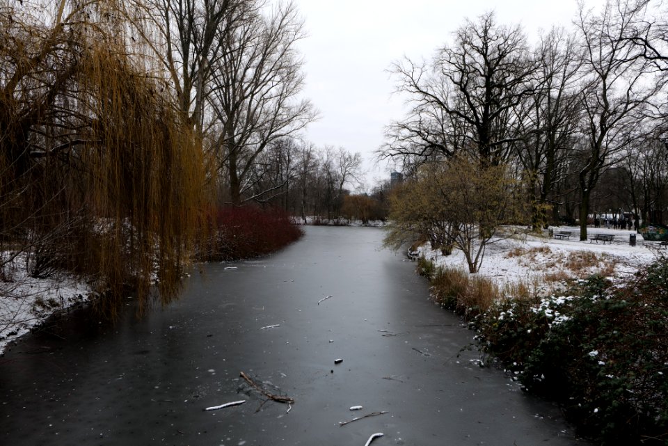 Neuer See Tiergarten Berlin with ice and snow 2021-02-06 14