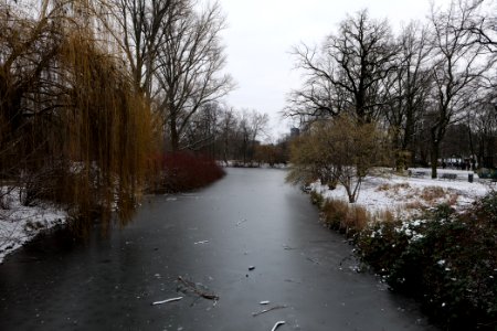 Neuer See Tiergarten Berlin with ice and snow 2021-02-06 14