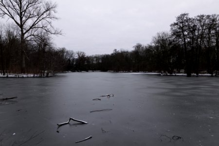 Neuer See Tiergarten Berlin with ice and snow 2021-02-06 09