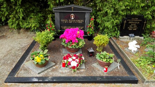 Neuer st michael friedhof berlin mai2017 - 2