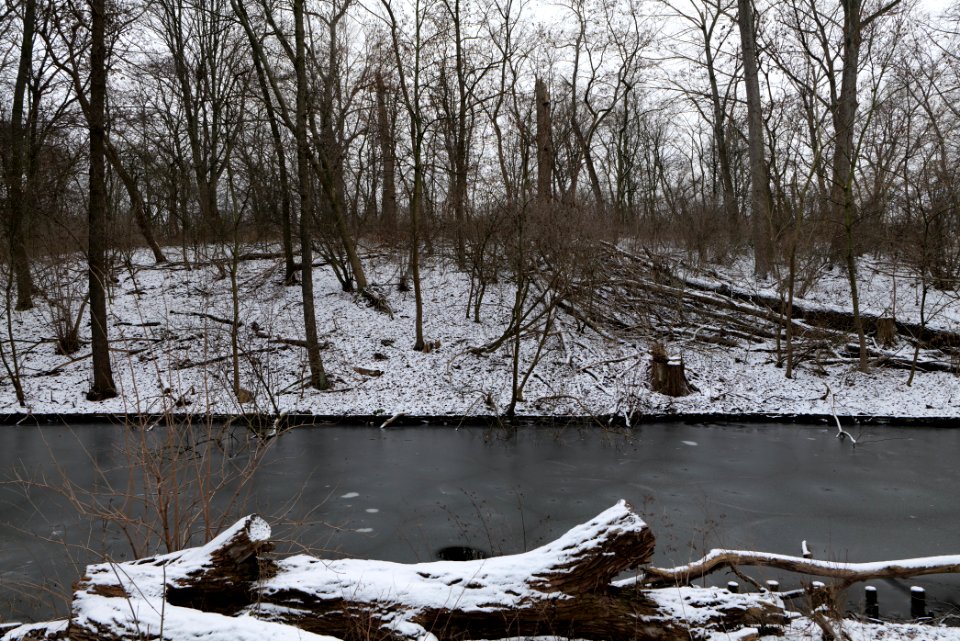 Neuer See Tiergarten Berlin with ice and snow 2021-02-06 10