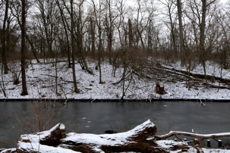 Neuer See Tiergarten Berlin with ice and snow 2021-02-06 10