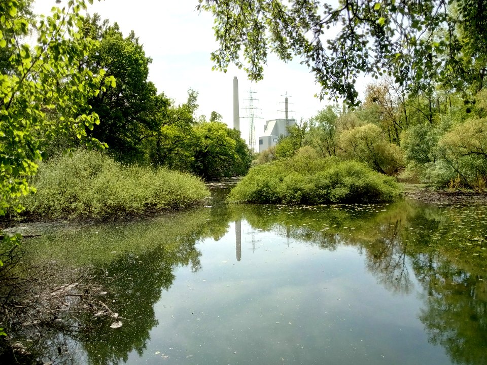 Neuer Federbach, Rheinhafen-Danpfkraftwerk