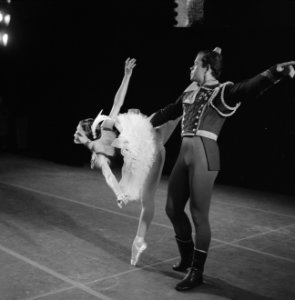 New York City Ballet in Amsterdam, repetitie New York City Ballet, Bestanddeelnr 918-1120