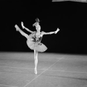 New York City Ballet in Amsterdam, repetitie New York City Ballet, Bestanddeelnr 918-1114