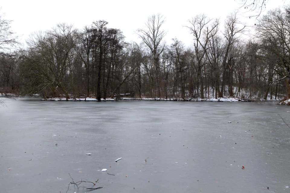 Neuer See Tiergarten Berlin with ice and snow 2021-02-06 02