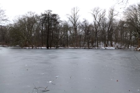 Neuer See Tiergarten Berlin with ice and snow 2021-02-06 02