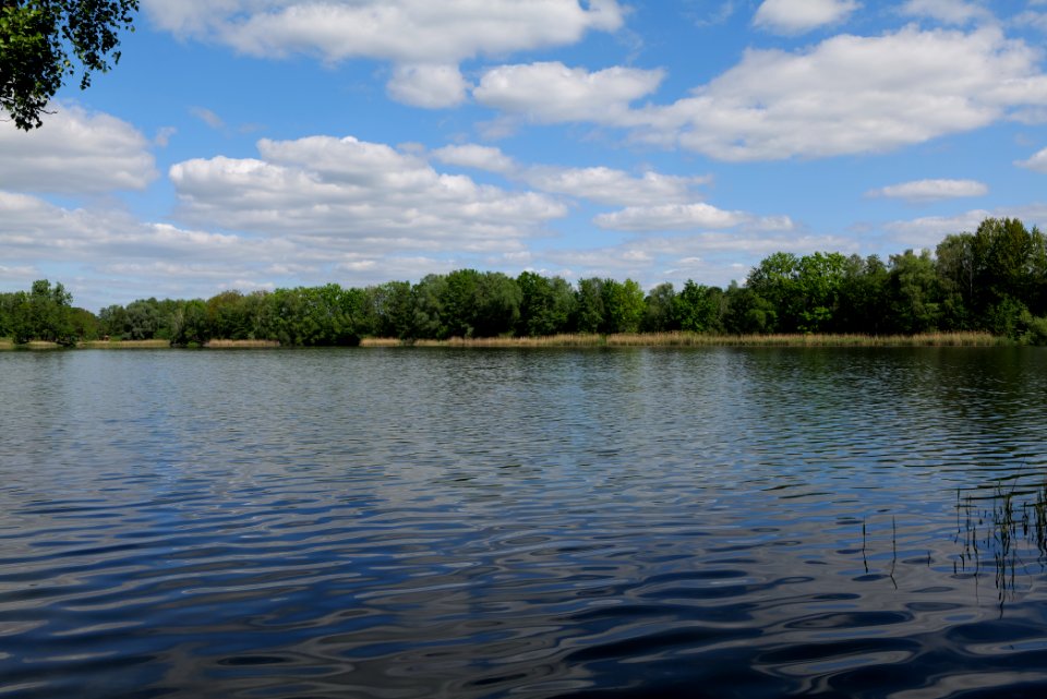 Neuer See Falkenhagen 2020-05-15 04