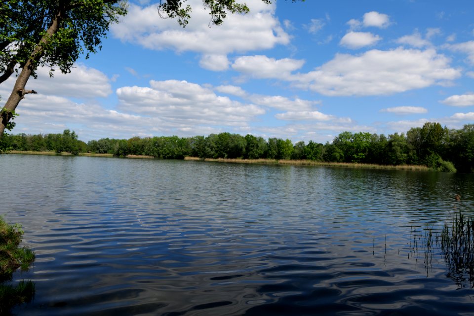 Neuer See Falkenhagen 2020-05-15 03