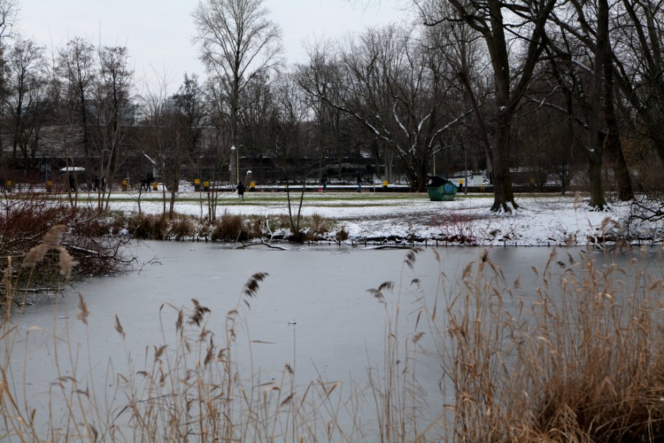 Neuer See Tiergarten Berlin with ice and snow 2021-02-06 11