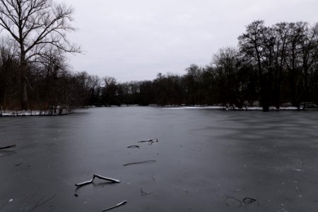 Neuer See Tiergarten Berlin with ice and snow 2021-02-06 07