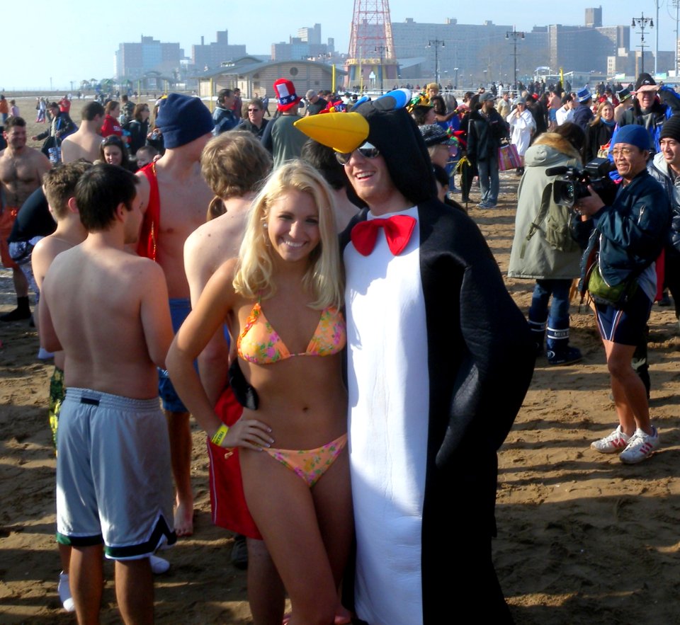 New Years penguin CI jeh