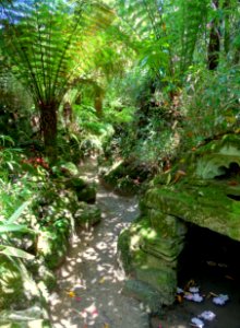 New Zealand garden - Lost Gardens of Heligan - Cornwall, England - DSC02860