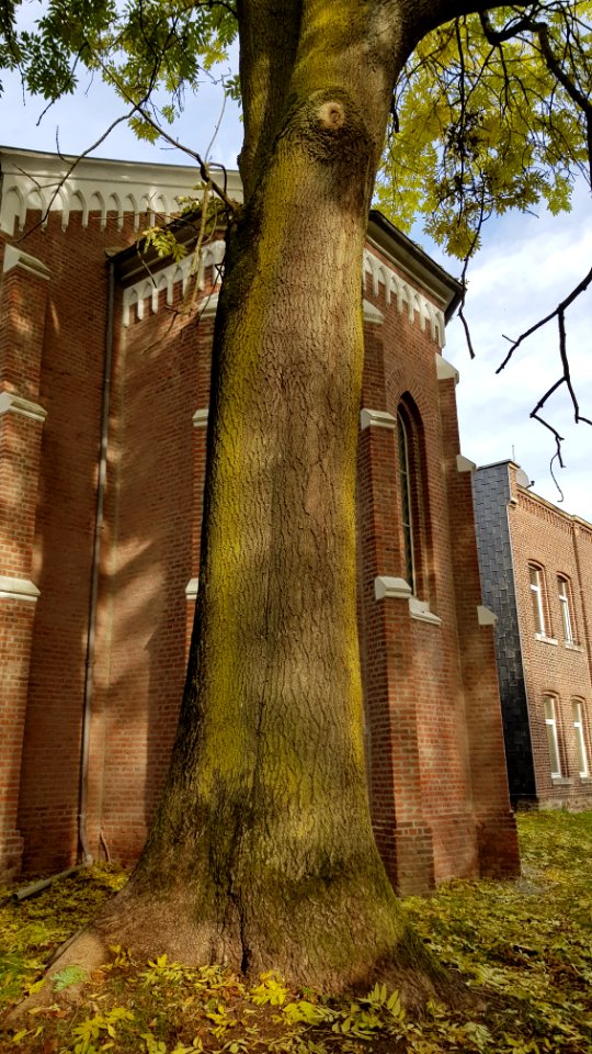 Neu-Moresnet-Evangelische Kirche (18)