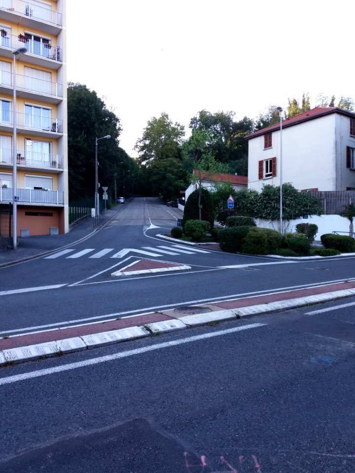 Neuville-sur-Saône - Avenue Henri Barbusse, depuis l'avenue Auguste Wissel