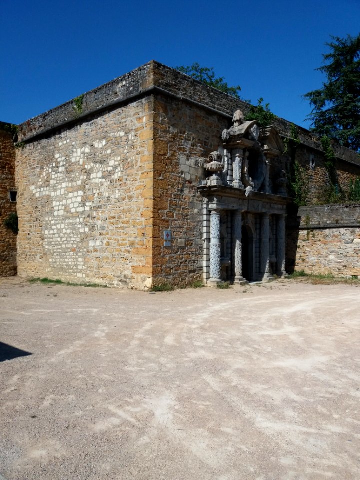 Neuville-sur-Saône - Nymphée, de côté