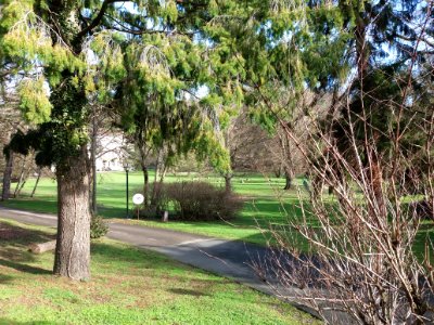 Neuville-sur-Saône - Avenue Auguste Wissel - Domaine Balmont - Jardin et allée