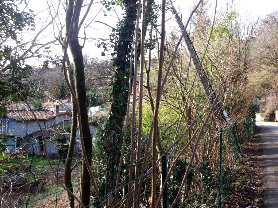Neuville-sur-Saône - Chemin du Pont des Biches - Maison à démolir