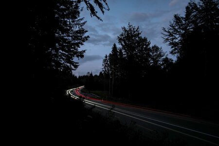 Silhouette trees black road photo