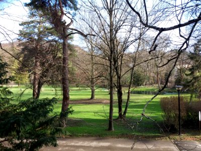 Neuville-sur-Saône - Avenue Auguste Wissel - Domaine Balmont - Jardin et mare