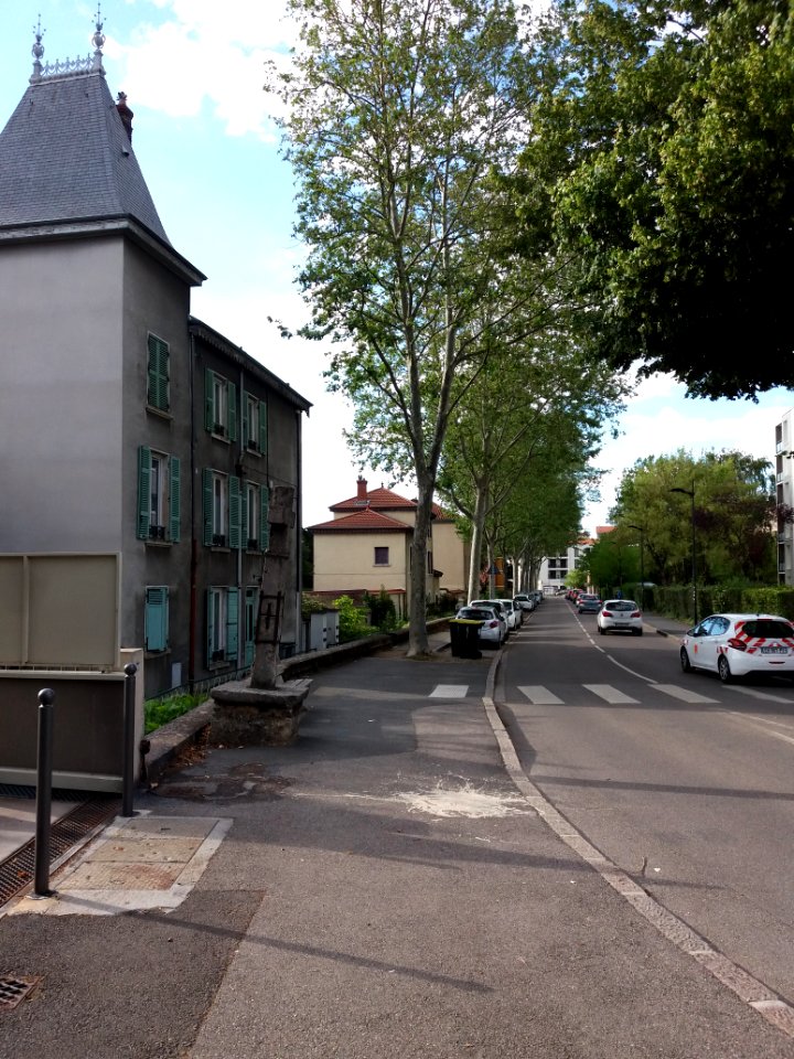 Neuville-sur-Saône - Avenue Van Doren, depuis la rue Pierre Dupont