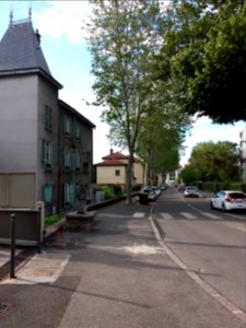Neuville-sur-Saône - Avenue Van Doren, depuis la rue Pierre Dupont