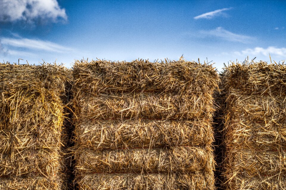 Packs of straw heaven hdr