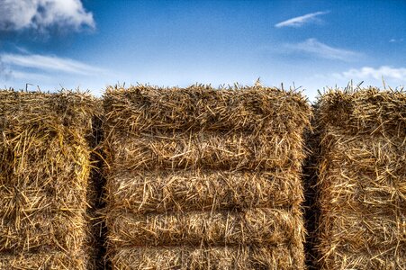 Packs of straw heaven hdr
