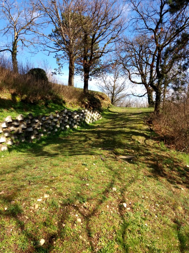 Neuville-sur-Saône - Chemin de l'Écho - En montant à la tour