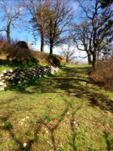 Neuville-sur-Saône - Chemin de l'Écho - En montant à la tour