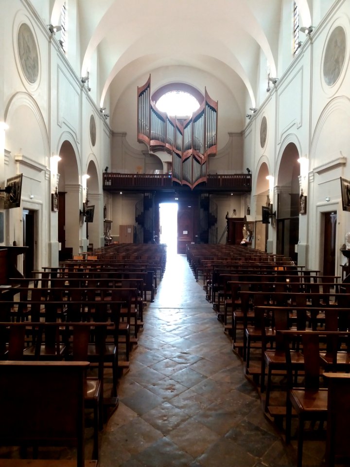 Neuville-sur-Saône - Église Notre-Dame-de-l'Assomption, nef depuis l'allée centrale