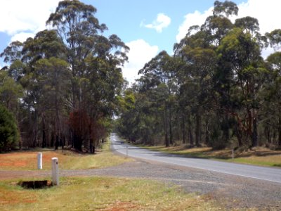 New England Highway Cabarlah