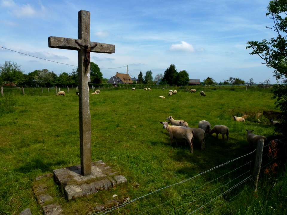 Neuville-sur-Authou (Eure, Fr) croix de chemin, paysage aux moutons