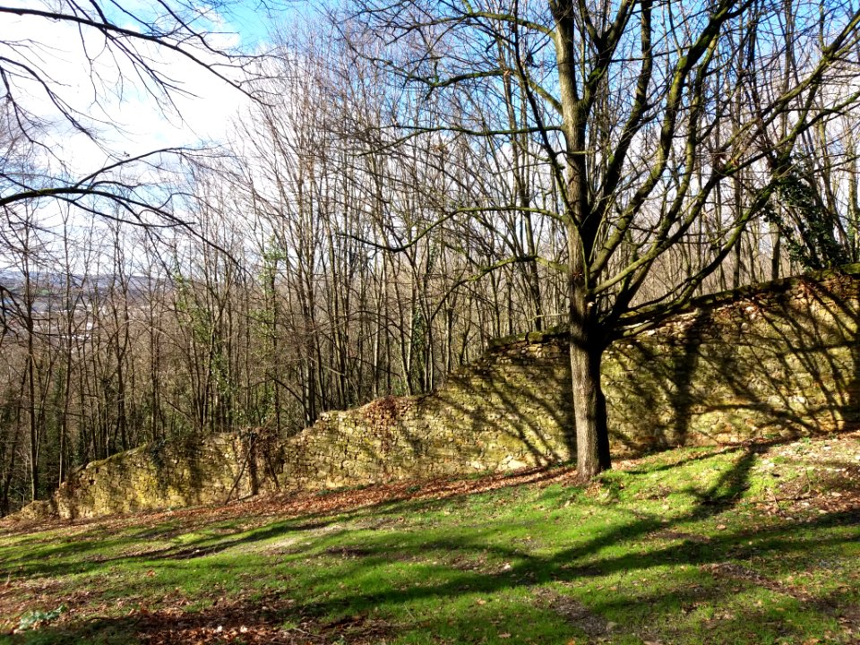 Neuville-sur-Saône - Chemin de l'Écho - Mur