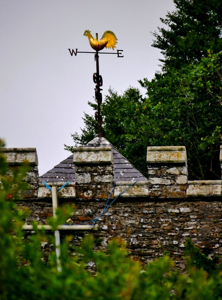 NevernChurchWeathercockH1b