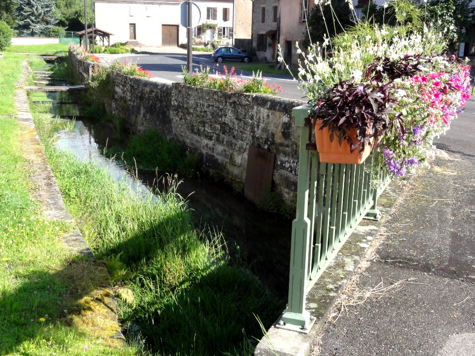 Neufmaisons (M-et-M) la Verdurette