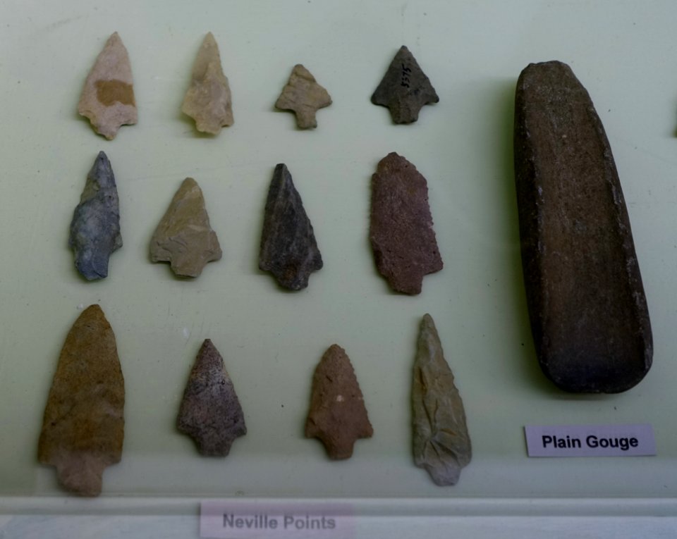 Neville points and plain gouge - Middle Archaic collection - Robbins Museum - Middleborough, Massachusetts - DSC03792