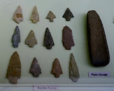 Neville points and plain gouge - Middle Archaic collection - Robbins Museum - Middleborough, Massachusetts - DSC03792